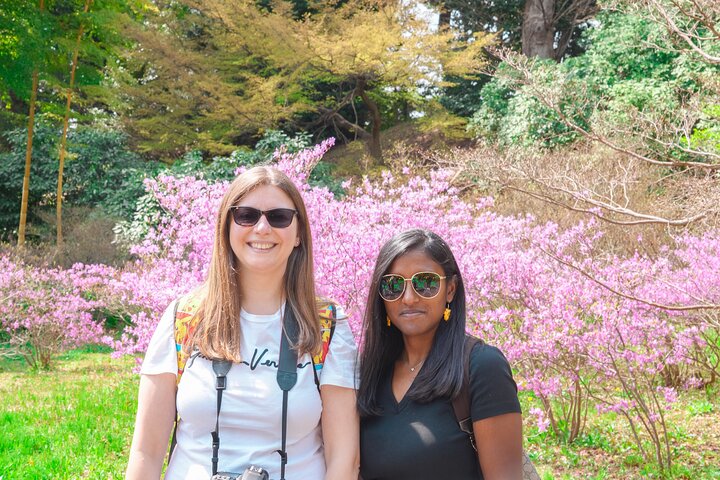Tokyo Customized Private Tour (Must See Places in 1 Day)