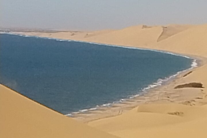 Marine Dune Day: Catamaran Cruise and Sandwich Harbor Dune Drive