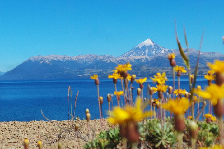 Gita di un giorno al lago Huechulafquen e al vulcano Lanin