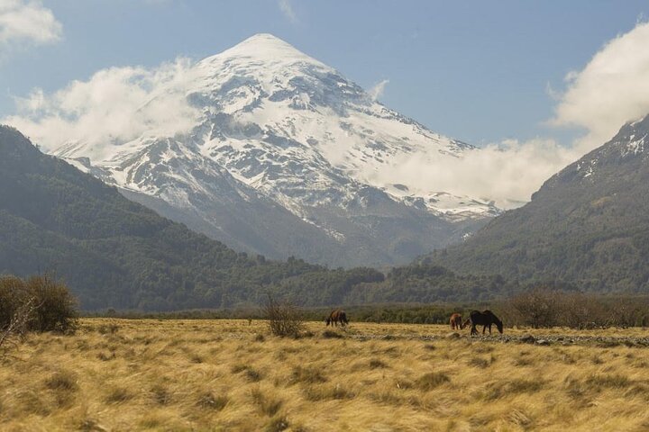 Gita di un giorno al lago Huechulafquen e al vulcano Lanin