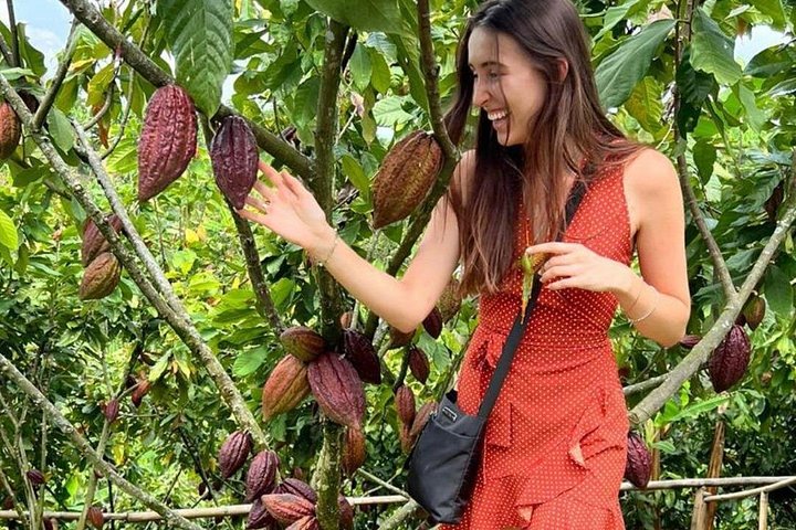 Visite des sources chaudes de cacao et de Santa Rosa au départ de Pereira ou d'Arménie