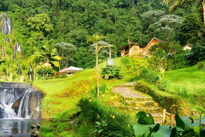 Visite des sources chaudes de cacao et de Santa Rosa au départ de Pereira ou d'Arménie
