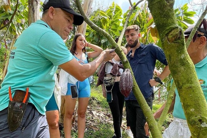 Visite des sources chaudes de cacao et de Santa Rosa au départ de Pereira ou d'Arménie