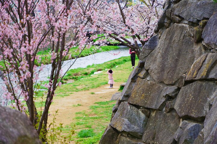 Matsumoto Castle, Sake & lokale hapjes wandeltocht