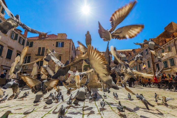 Dubrovnik guidad tur & ledig tid från Makarska Riviera