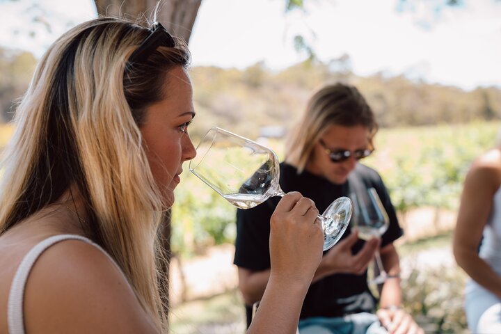 Margaret River Boutique Wine Tour w. Degustación a ciegas + almuerzo italiano