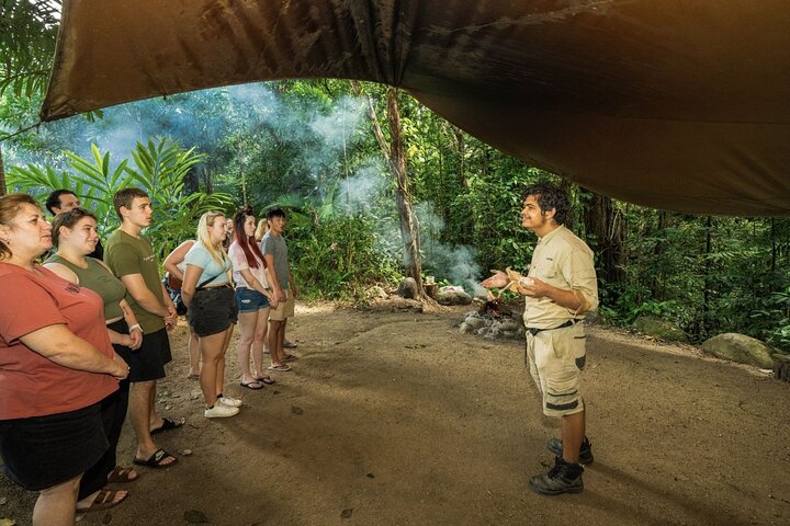 Tour por Daintree, Mossman Gorge y vida salvaje desde Cairns