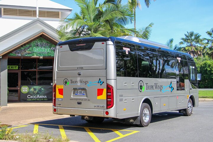 Tour por Daintree, Mossman Gorge y vida salvaje desde Cairns