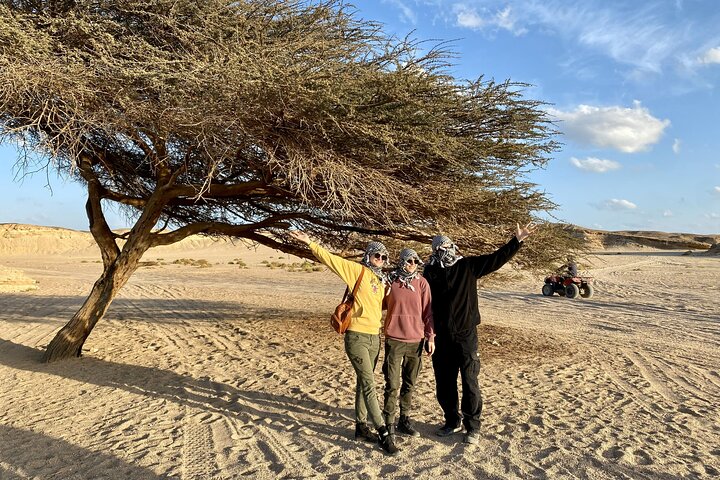 Hoteller i nærheden af Marsa Alam Sunset Quad Safari med Camel Ride