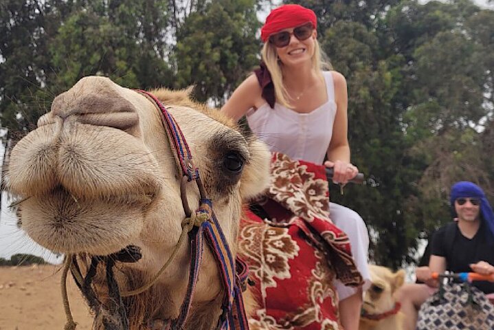 Agadir Camel rider lokal marknad med te dryck och kakor