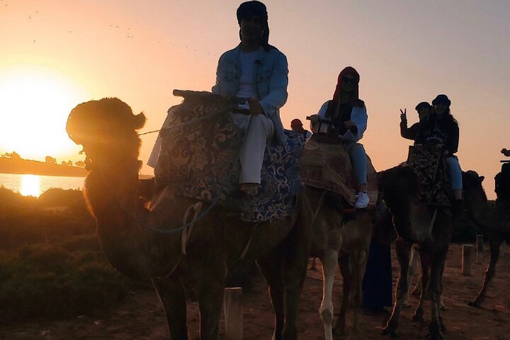 Agadir Camel rider lokal marknad med te dryck och kakor