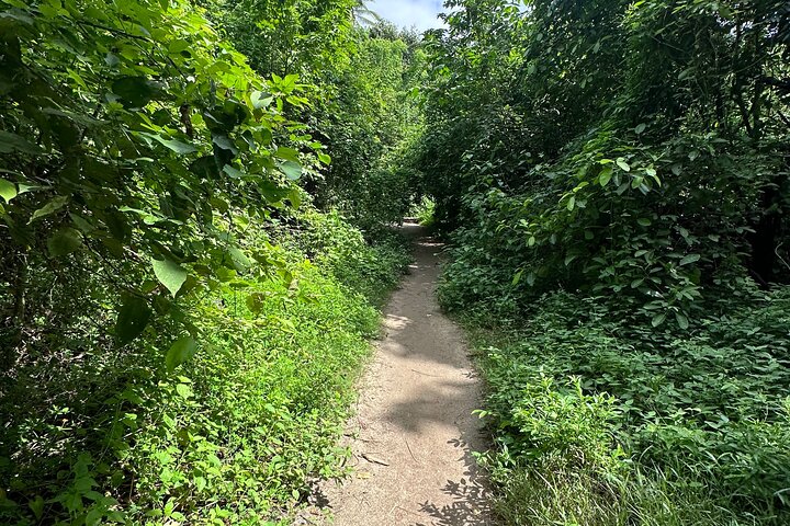 Privat Tayrona Hike till Cabo San Juan : Tvåspråkig Guide + Transport