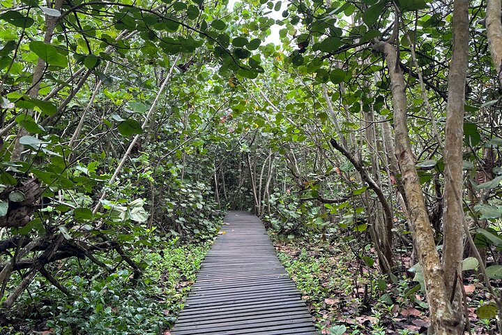 Privat Tayrona Hike till Cabo San Juan : Tvåspråkig Guide + Transport