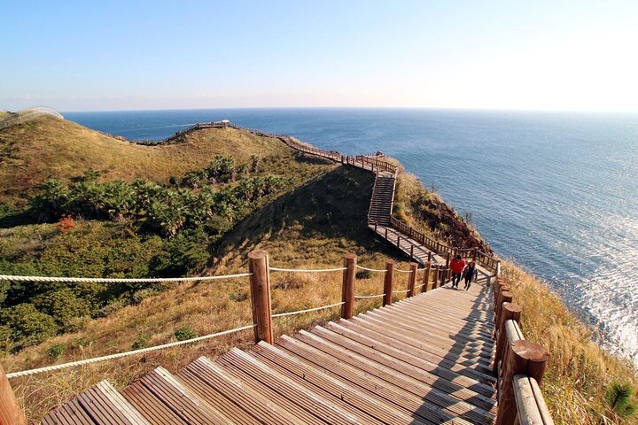 Excursão de dia inteiro ao sul de Jeju pela UNESCO com Mt.Halla