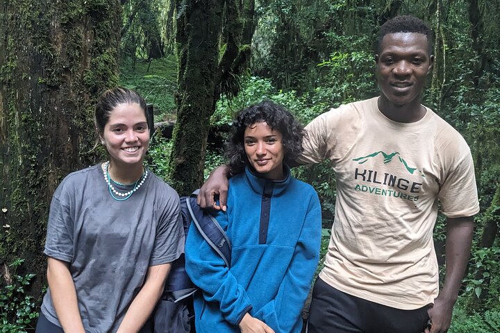 La mejor caminata de 1 día por el Kilimanjaro Machame con Kilinge Adventure