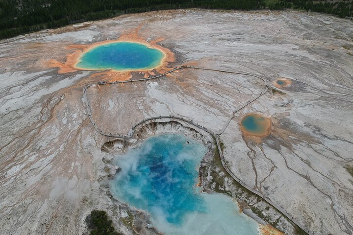 Tour privato di un'intera giornata a Yellowstone partendo da Jackson Hole