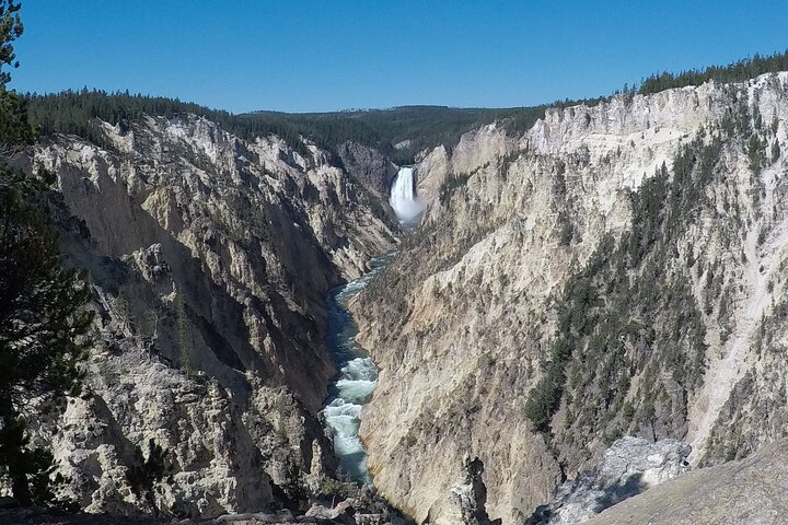 Tour privato di un'intera giornata a Yellowstone partendo da Jackson Hole