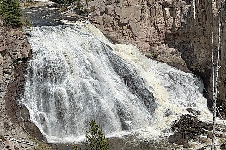 Tour privato di un'intera giornata a Yellowstone partendo da Jackson Hole