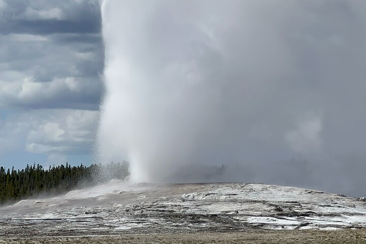 Tour privato di un'intera giornata a Yellowstone partendo da Jackson Hole