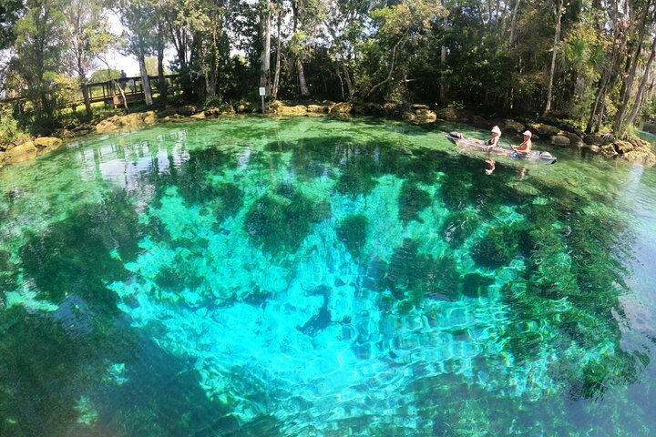 Clear Kayak Tour de las Tres Hermanas Springs y Manatí por Crystal River