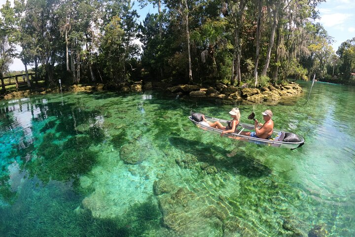 Clear Kayak Tour de las Tres Hermanas Springs y Manatí por Crystal River