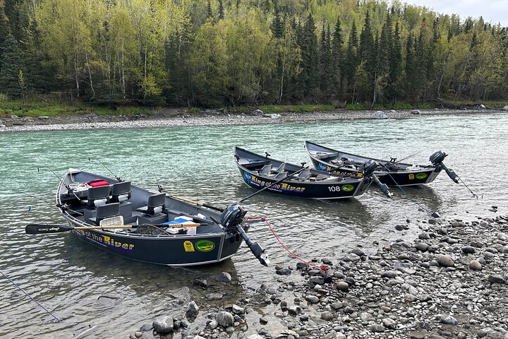 Mezza giornata di pesca al salmone in Alaska nella penisola di Kenai