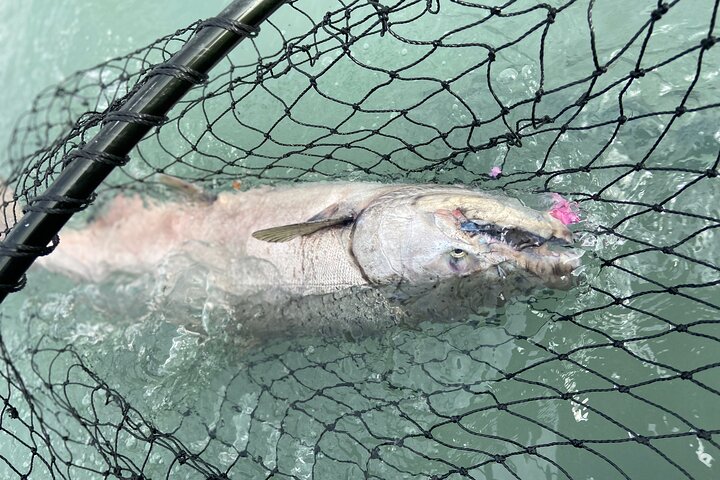 Mezza giornata di pesca al salmone in Alaska nella penisola di Kenai