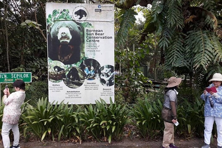 Sepilok Orangutang , SunBear, Proboscisapa från Sandakan City