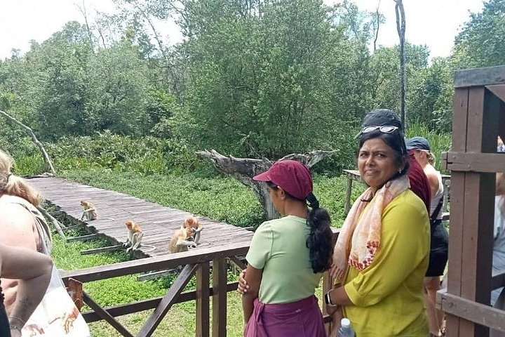 Sepilok Orangutang , SunBear, Proboscisapa från Sandakan City