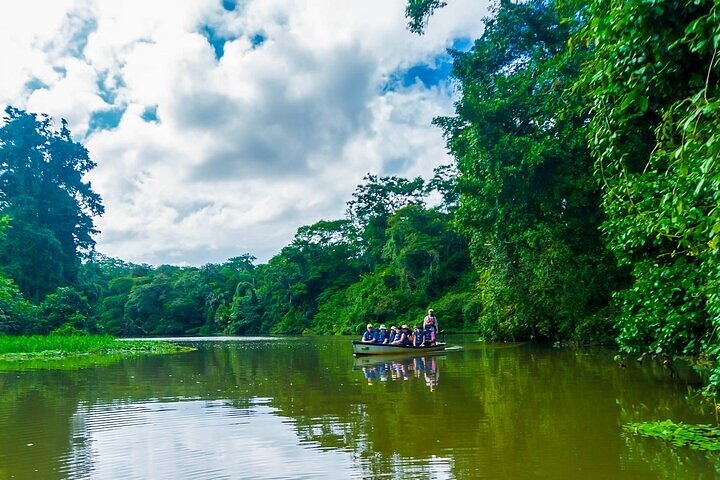 Tortuguero: Nester-Tour + Kanu-Tour + Dschungel-Nachttour