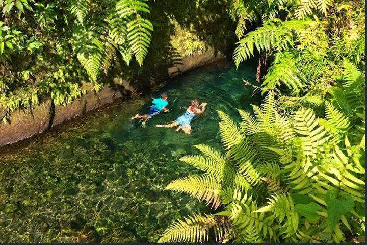 Dominica Treasures: Waterfals, Hot Springs, & Titou Gorge