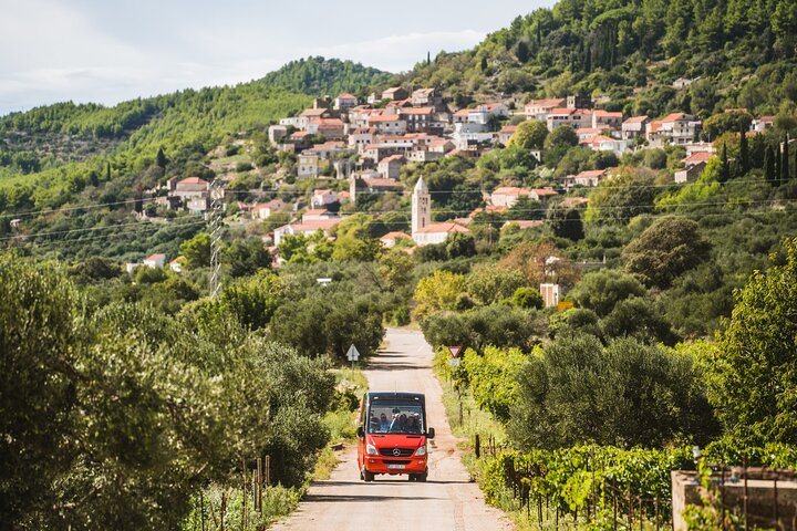 Vino de Korcula y visitas turísticas Vistas Catas e historias