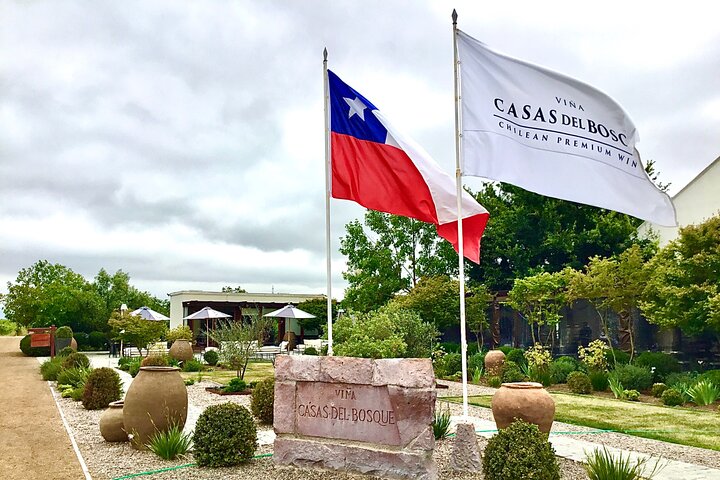Probieren Sie 10 Weinsorten in 3 exklusiven Weinbergen von Casablanca