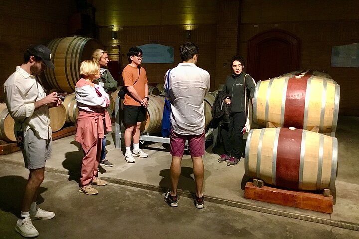 Probieren Sie 10 Weinsorten in 3 exklusiven Weinbergen von Casablanca