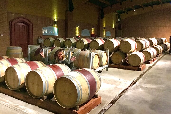 Probieren Sie 10 Weinsorten in 3 exklusiven Weinbergen von Casablanca