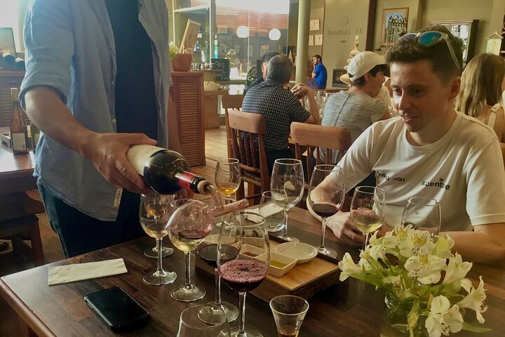 Probieren Sie 10 Weinsorten in 3 exklusiven Weinbergen von Casablanca