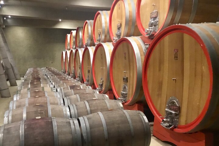 Probieren Sie 10 Weinsorten in 3 exklusiven Weinbergen von Casablanca