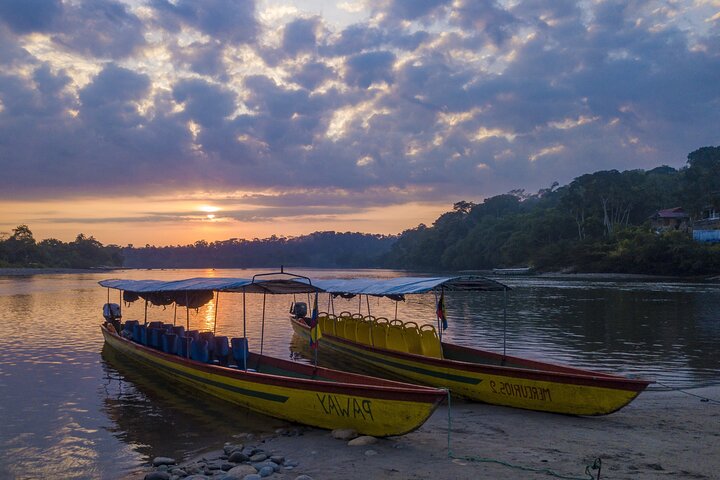 Aventura en la selva de 3 días desde / hacia Tena - Región amazónica de Napo