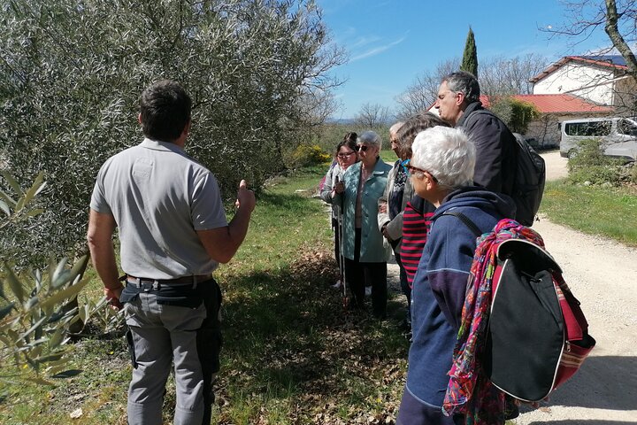 Mattur på den sørfranske landsbygda fra Nîmes
