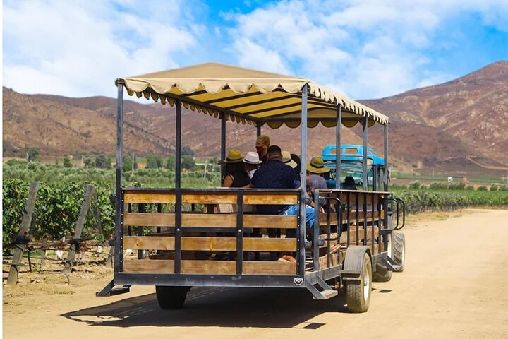 Wijnroutetour door de Guadalupe-vallei en Puerto Nuevo Langosta