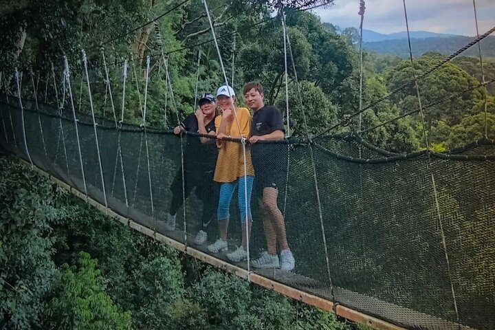 Dagstur till Kinabalu Park och Poring Hot Spring guidad tur