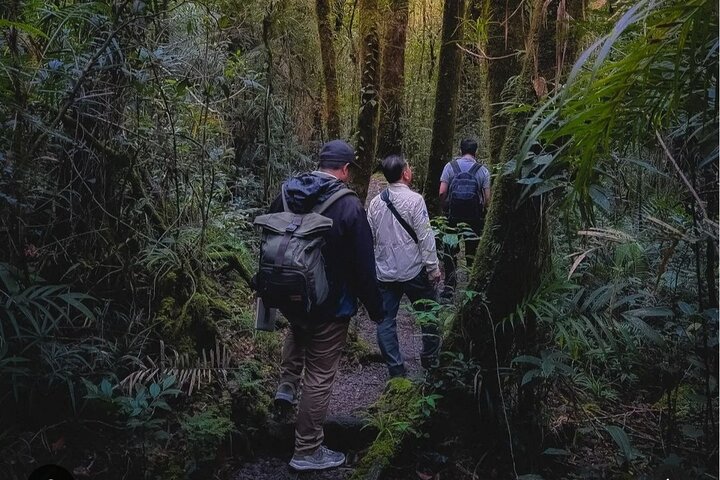 Dagstur till Kinabalu Park och Poring Hot Spring guidad tur