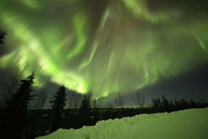 1-daagse gedeelde tour Poolcirkel en Aurora bekijken in Alaska