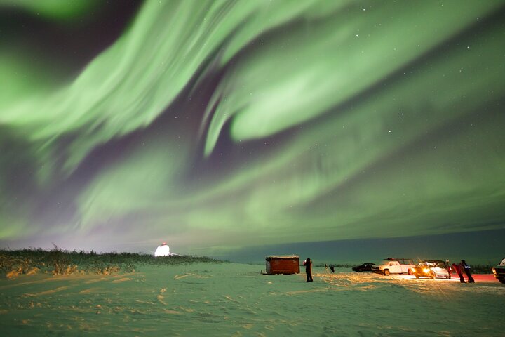 1-daagse gedeelde tour Poolcirkel en Aurora bekijken in Alaska