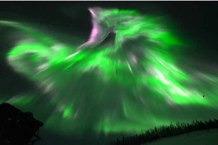 1-daagse gedeelde tour Poolcirkel en Aurora bekijken in Alaska