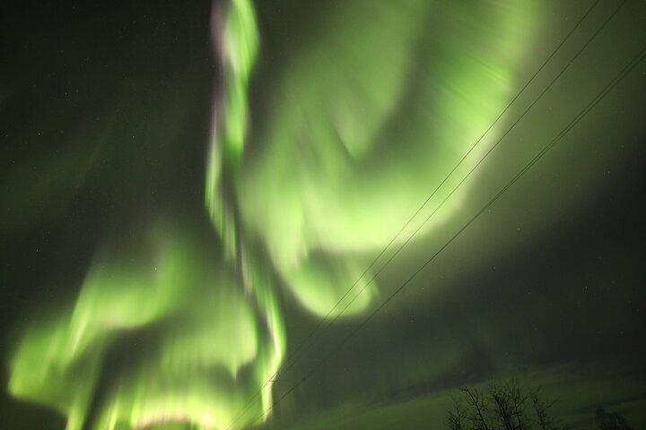 1-daagse gedeelde tour Poolcirkel en Aurora bekijken in Alaska