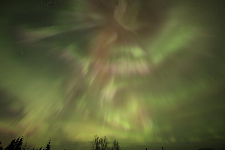 1-daagse gedeelde tour Poolcirkel en Aurora bekijken in Alaska