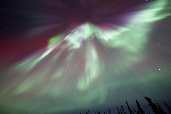 1-daagse gedeelde tour Poolcirkel en Aurora bekijken in Alaska