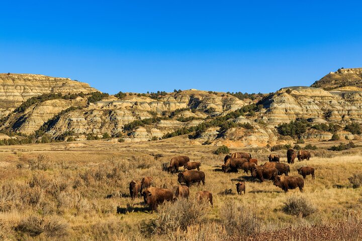 Tour audio di guida autoguidato del Parco nazionale Theodore Roosevelt