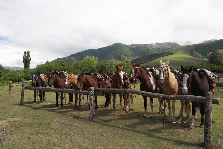 Upptäck Tafi del Valle: Guidad resa